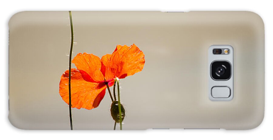 Poppy Galaxy Case featuring the photograph Life by Spikey Mouse Photography