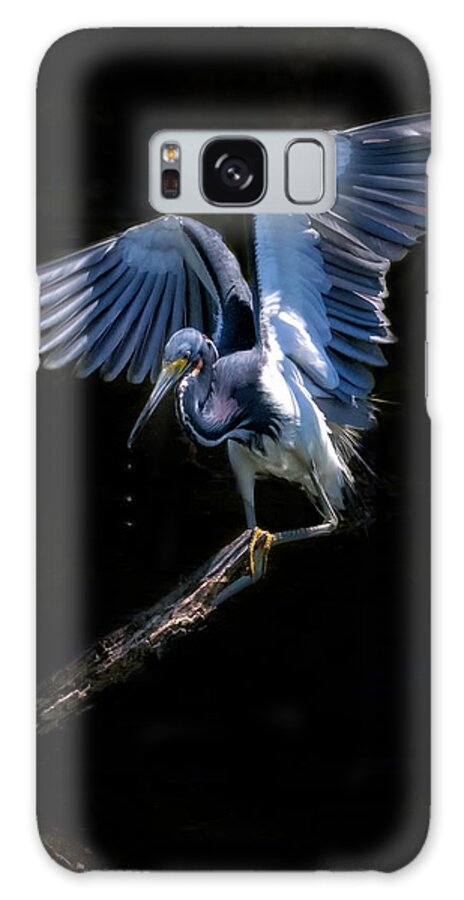 Tricolored Heron Galaxy Case featuring the photograph Light As A Feather by Ghostwinds Photography