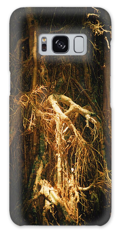 Giant Fig Galaxy Case featuring the photograph Light Roots by Evelyn Tambour