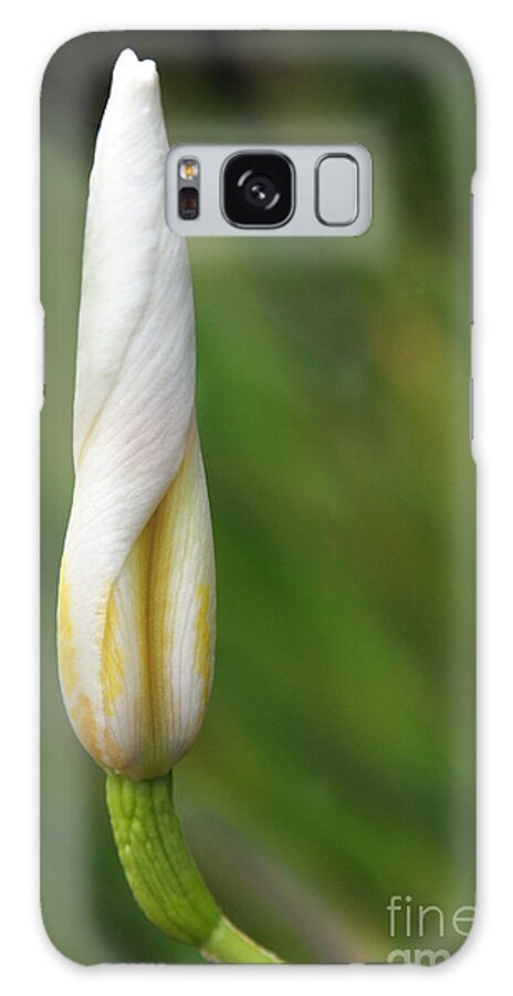 Flower Galaxy Case featuring the photograph Like A Rocket by Dan Holm