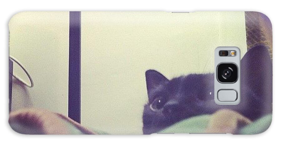 Petstagram Galaxy Case featuring the photograph Like She's Watching A Horror Movie by TC Li