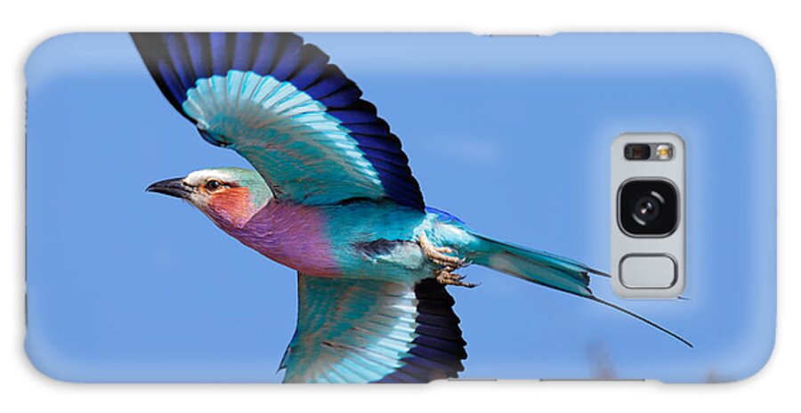 Lilac-breasted Galaxy Case featuring the photograph Lilac-breasted Roller in flight by Johan Swanepoel
