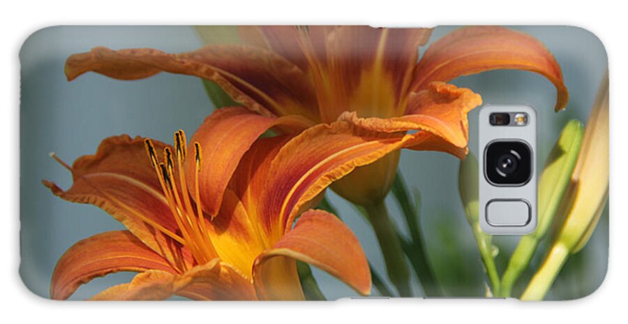 Flowers Galaxy Case featuring the photograph Lilies 1 by John Meader