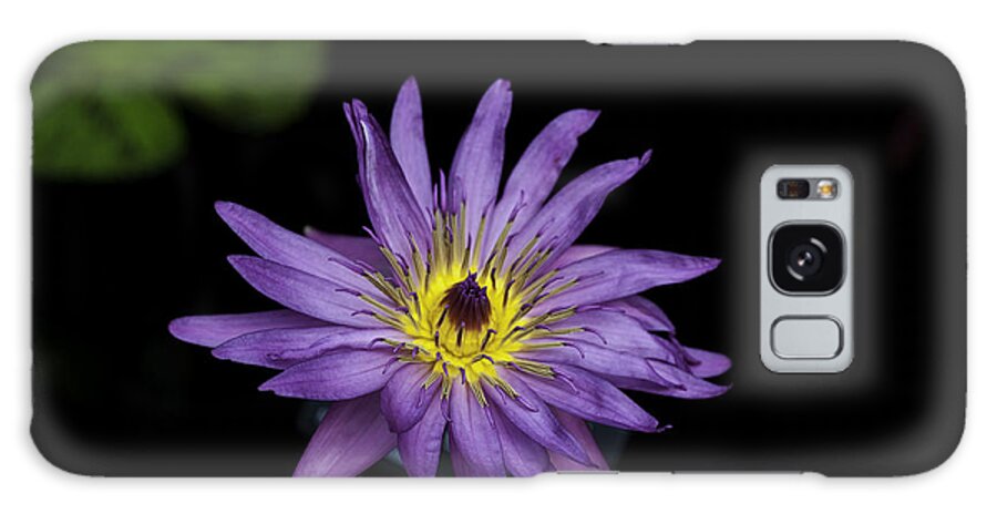 Close-ups Galaxy Case featuring the photograph Lilly Glow by Donald Brown
