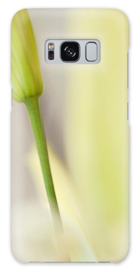Abstract Galaxy Case featuring the photograph Lily Delight. Floral Abstract by Jenny Rainbow