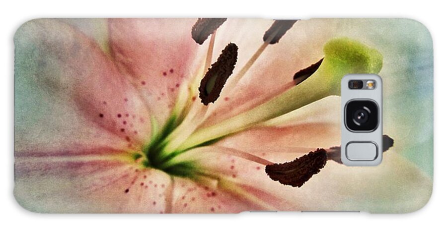 Lily Galaxy Case featuring the photograph Lily Flower Macro by Marianna Mills