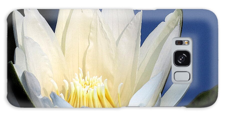 Water Lily Galaxy Case featuring the digital art Lily in blue by Kathleen Illes