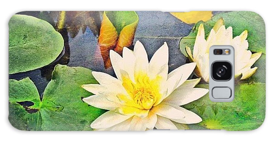 Beautiful Galaxy Case featuring the photograph #lily #lilies #pad #lilypads by Jill Battaglia