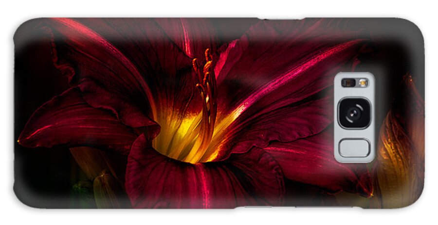 Lily Galaxy Case featuring the photograph Lily Number Nine by Bob Orsillo