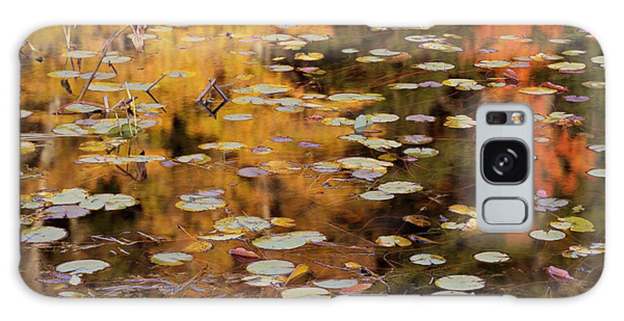 Maine Galaxy S8 Case featuring the photograph Lilypads and Reflection-H by Tom Daniel