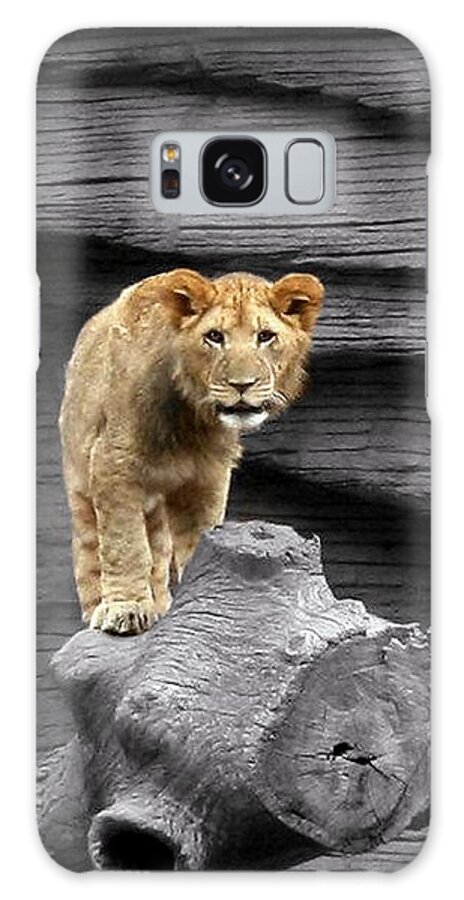 Zoos. Lions Galaxy S8 Case featuring the photograph Lion Cub by Cathy Harper