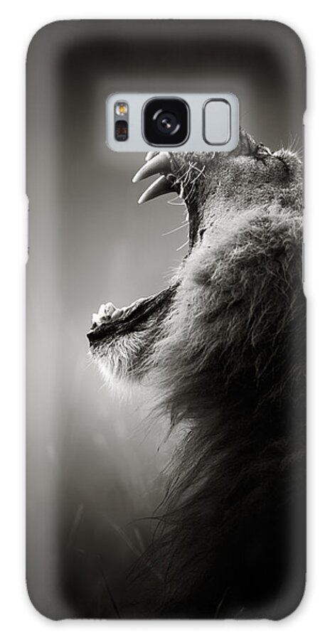 Lion displaying dangerous teeth Galaxy Case for Sale by Johan Swanepoel