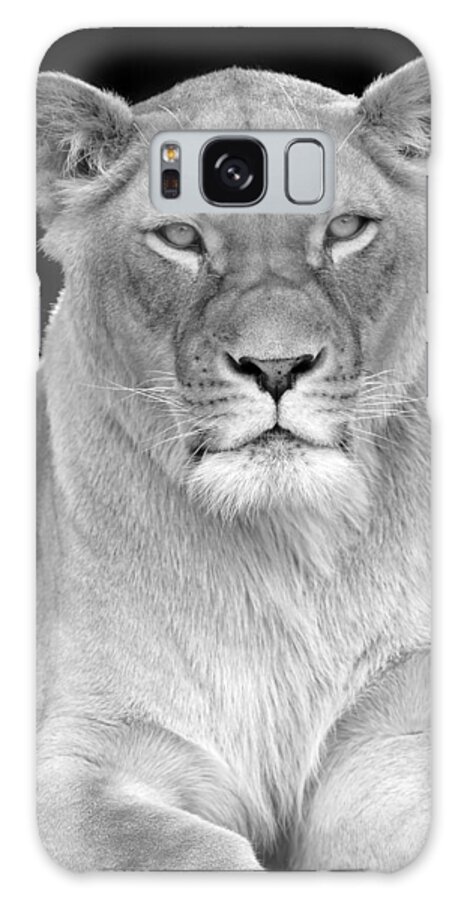 Chloe Galaxy Case featuring the photograph Lioness in Black and White by Clint Buhler