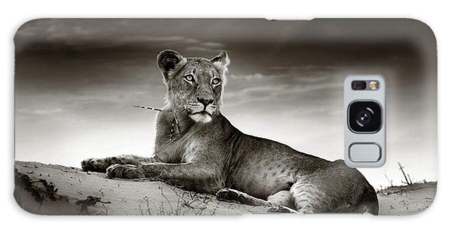 Lion Galaxy Case featuring the photograph Lioness on desert dune by Johan Swanepoel