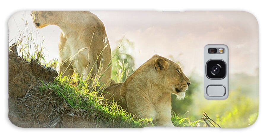 Vertebrate Galaxy Case featuring the photograph Lions In Kruger Wildlife Reserve by Tunart
