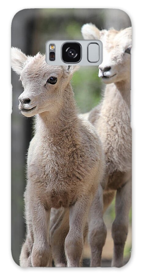 Little Galaxy Case featuring the photograph Little Bighorns by Marty Fancy