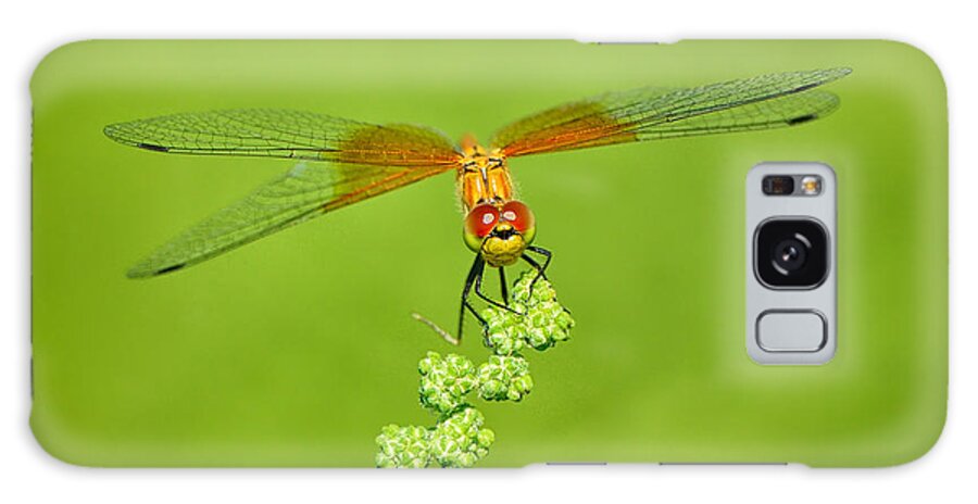Dragonfly Galaxy Case featuring the photograph Little Bugger by Greg Norrell
