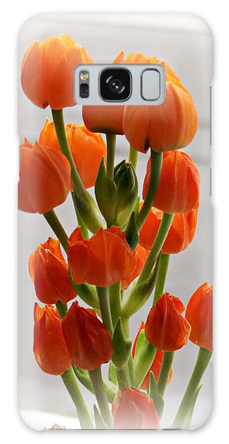 Little Orange Flowers Galaxy Case featuring the photograph Little Orange Flowers by Dark Whimsy