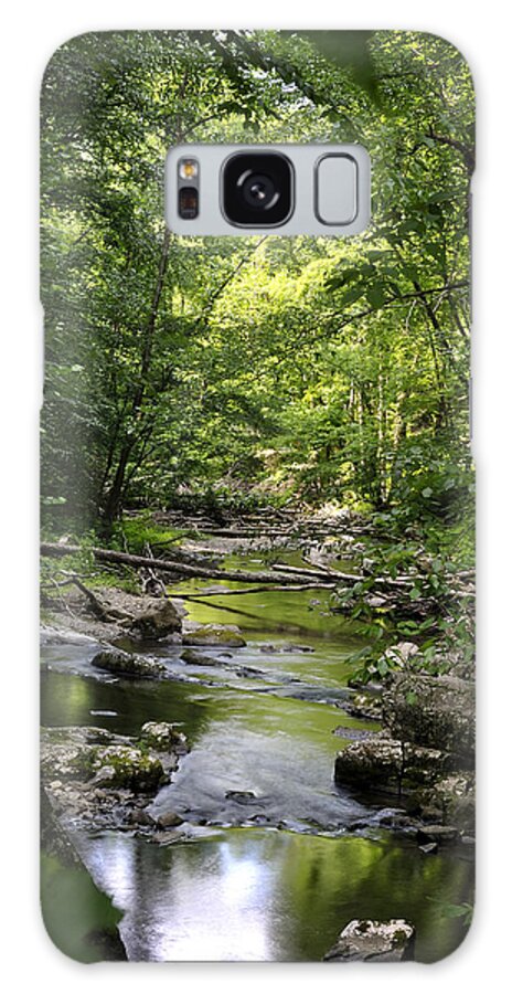 Little River Galaxy Case featuring the photograph Little River Smoky Mountains by George Taylor