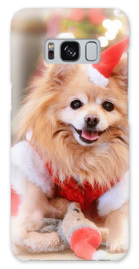Christmas Galaxy Case featuring the photograph Little Santa Claus by Charline Xia