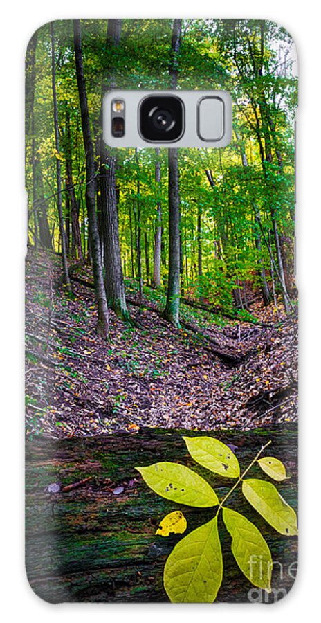 Defiance Galaxy Case featuring the photograph Little Valley by Michael Arend