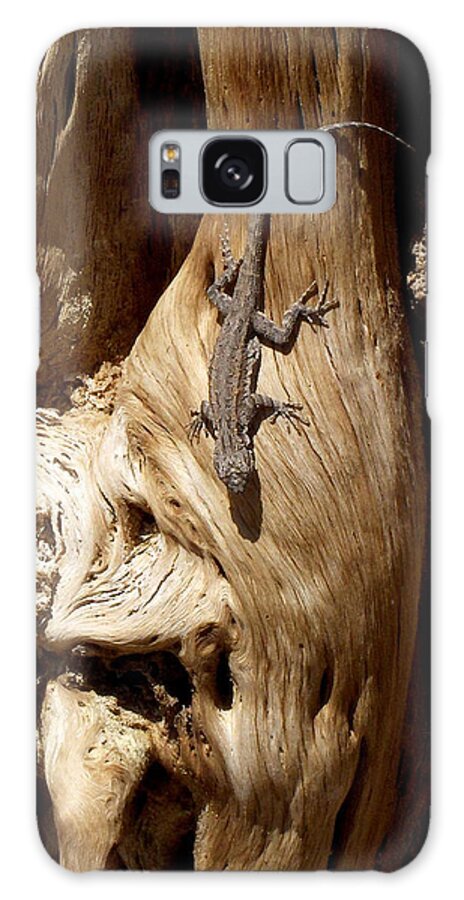 United States Galaxy Case featuring the photograph Lizard by Richard Gehlbach