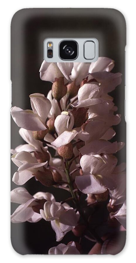 Retro Images Archive Galaxy Case featuring the photograph Locust Flower by Retro Images Archive