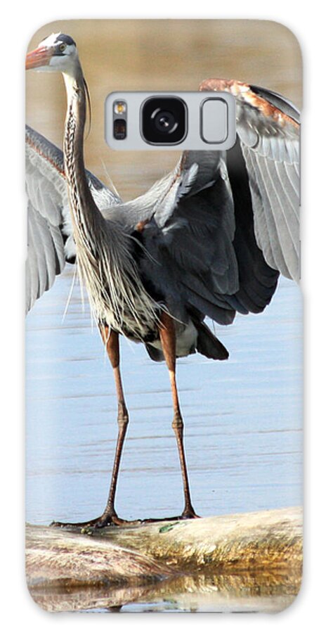Great Blue Heron Galaxy Case featuring the photograph Log Hog by Shane Bechler