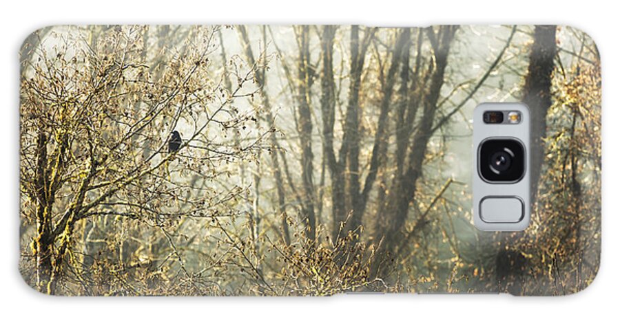 Crow Galaxy Case featuring the photograph Lone Crow by Belinda Greb