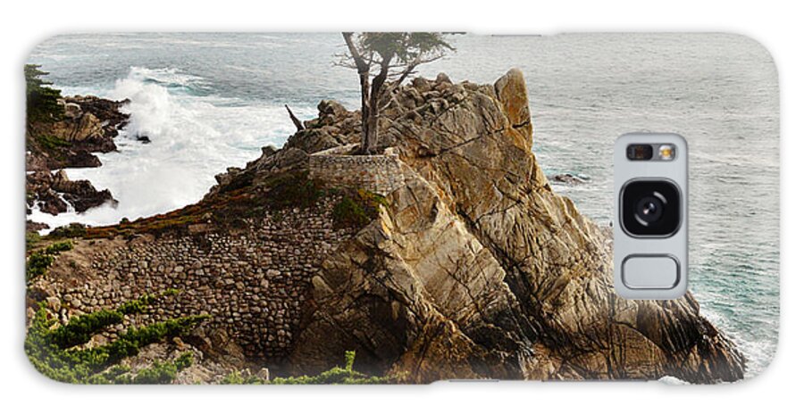 Serenity Prayer Galaxy Case featuring the photograph Lone Cypress Serenity Prayer by Barbara Snyder