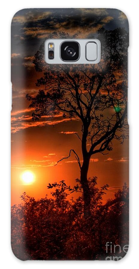 Lone Manzanita Sunset Galaxy S8 Case featuring the photograph Lone Manzanita Sunset by Patrick Witz