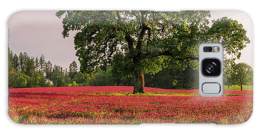 Scenics Galaxy Case featuring the photograph Lone Oak In Clover Field by Jason Harris