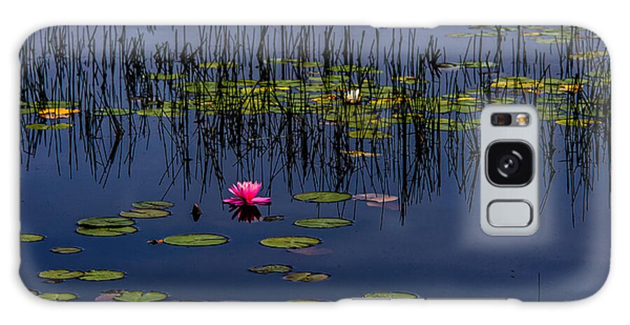 New Jersey Galaxy Case featuring the photograph Lone Pink Water Lily by Louis Dallara