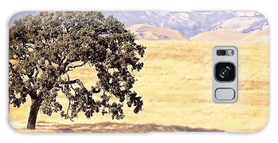Lone Tree Galaxy Case featuring the photograph Lone Tree by Caitlyn Grasso