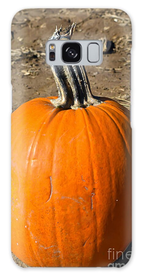 Field Galaxy Case featuring the photograph Lonely Pumpkin by PatriZio M Busnel