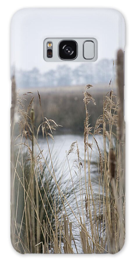 Reeds Galaxy S8 Case featuring the photograph Looking through the Reeds by Spikey Mouse Photography