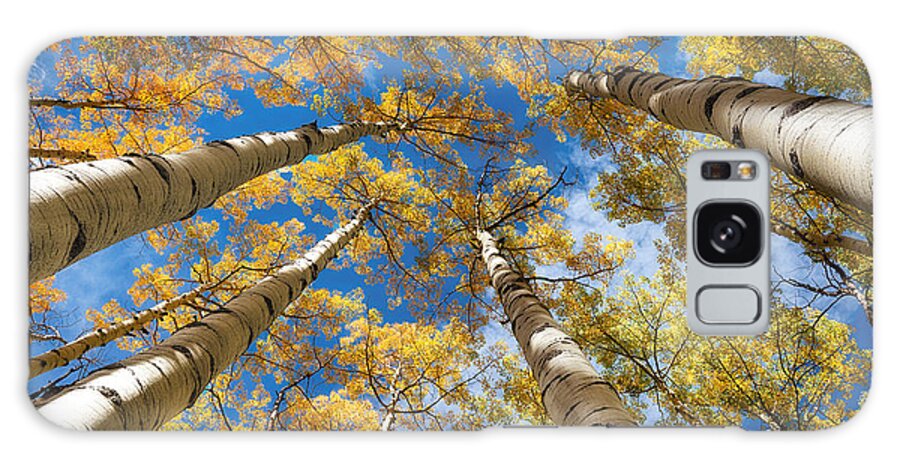 Aspen Galaxy Case featuring the photograph Looking up into Aspens by David Soldano