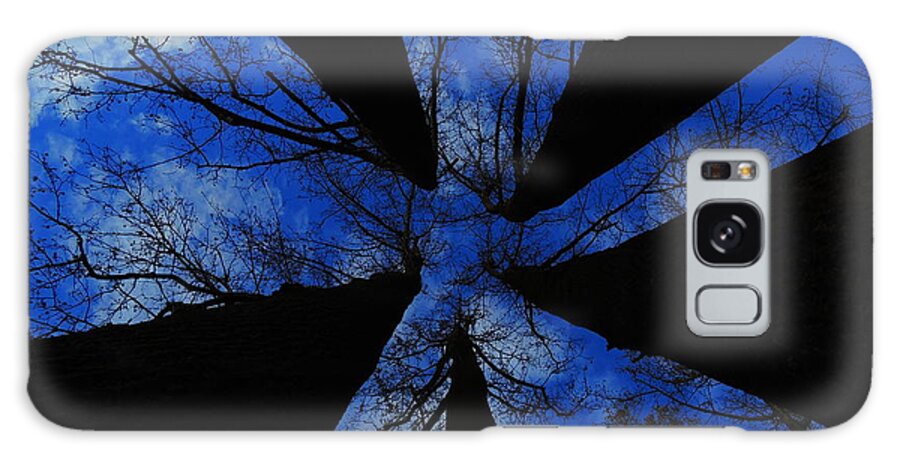 Trees Galaxy Case featuring the photograph Looking Up by Raymond Salani III
