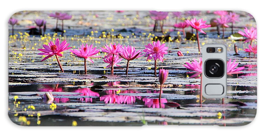 Aquatic Galaxy Case featuring the photograph Lotus flowers by Amanda Mohler