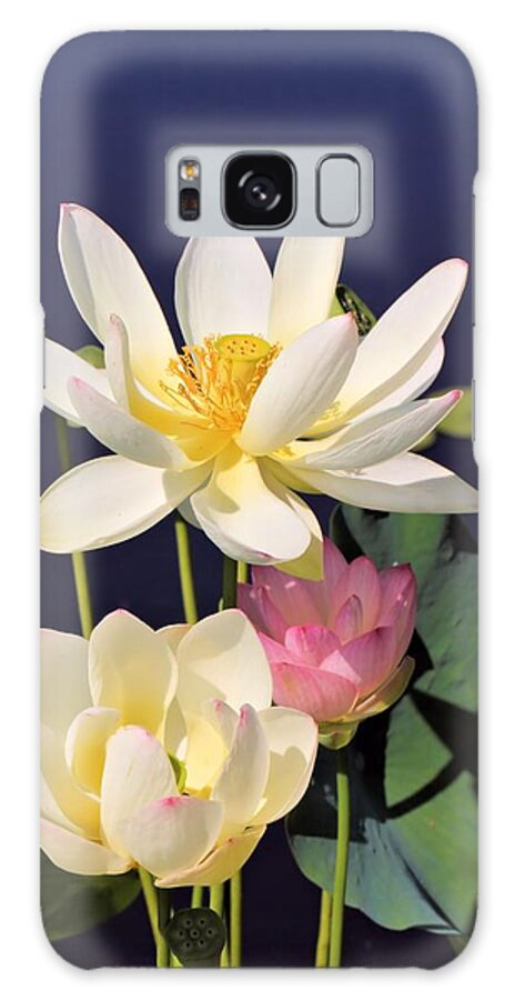 Lotus Galaxy S8 Case featuring the photograph Lovely Lotus by Katherine White