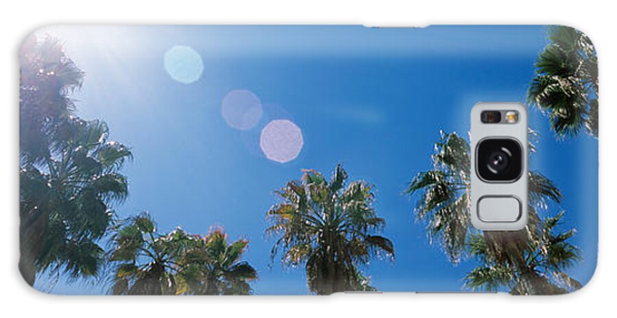 Photography Galaxy Case featuring the photograph Low Angle View Of Palm Trees, Downtown by Panoramic Images