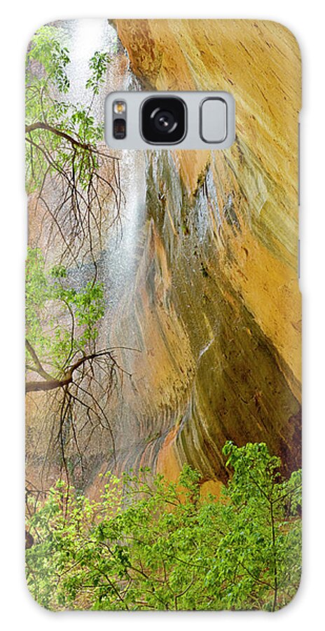 Cliff Galaxy Case featuring the photograph Lower Emerald Pool Waterfall Red Rock by Howie Garber