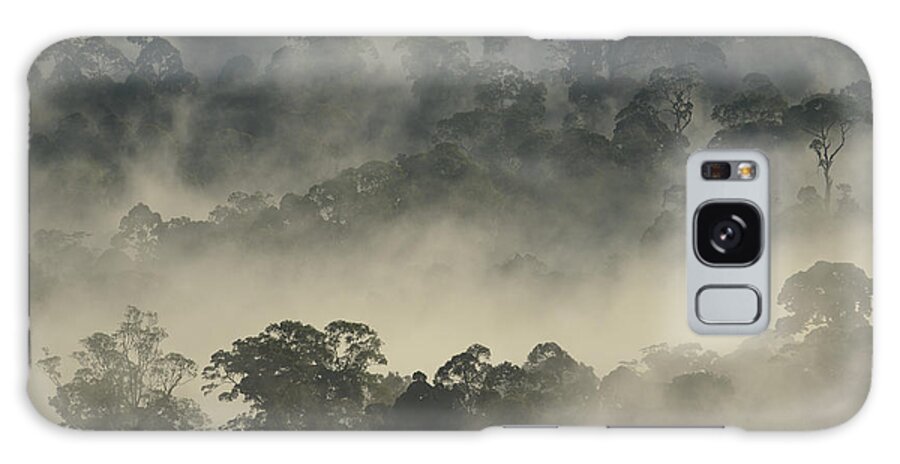 Ch'ien Lee Galaxy Case featuring the photograph Lowland Primary Forest At Sunrise by Ch'ien Lee