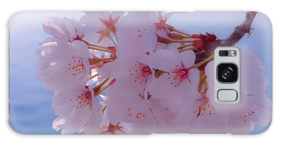 2012 Centennial Celebration Galaxy Case featuring the photograph Macro DC Cherry Blossoms by Jeff at JSJ Photography