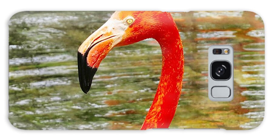 Bright Galaxy S8 Case featuring the photograph Macro Flamingo by Art Dingo