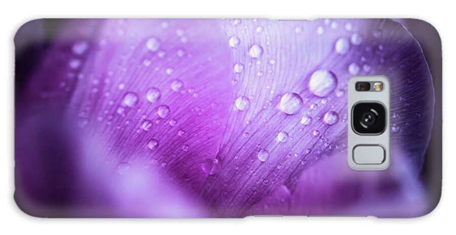 Holiday Galaxy Case featuring the photograph Macro Shot Of Pink Tulips With Drops In by Sankai