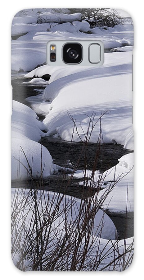 Mad Creek Galaxy Case featuring the photograph Mad Creek Winter at Elk Confluence by Daniel Hebard
