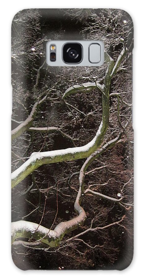 Tree Galaxy Case featuring the photograph Magic tree by Rosita Larsson