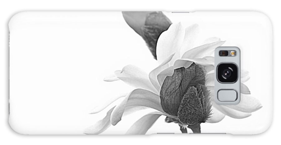 Flowers Galaxy Case featuring the photograph Magnolia Bloom 1 by Tammy Schneider