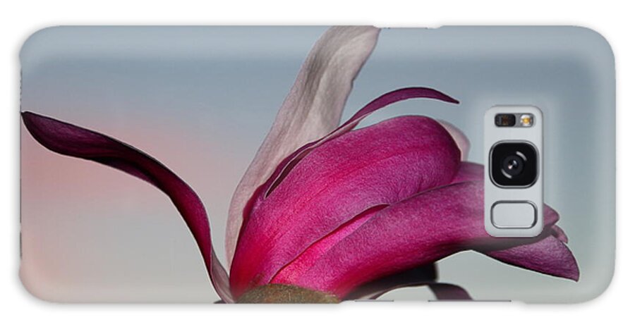 Beautiful Galaxy Case featuring the photograph Magnolia Blossom in the Sunset by Amanda Mohler